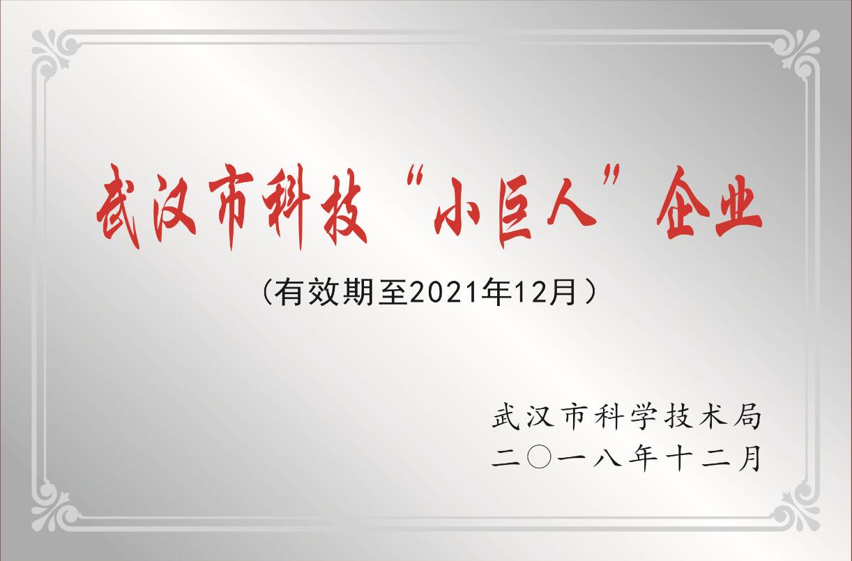 威駿集團榮獲武漢市科技“小巨人”企業(yè)